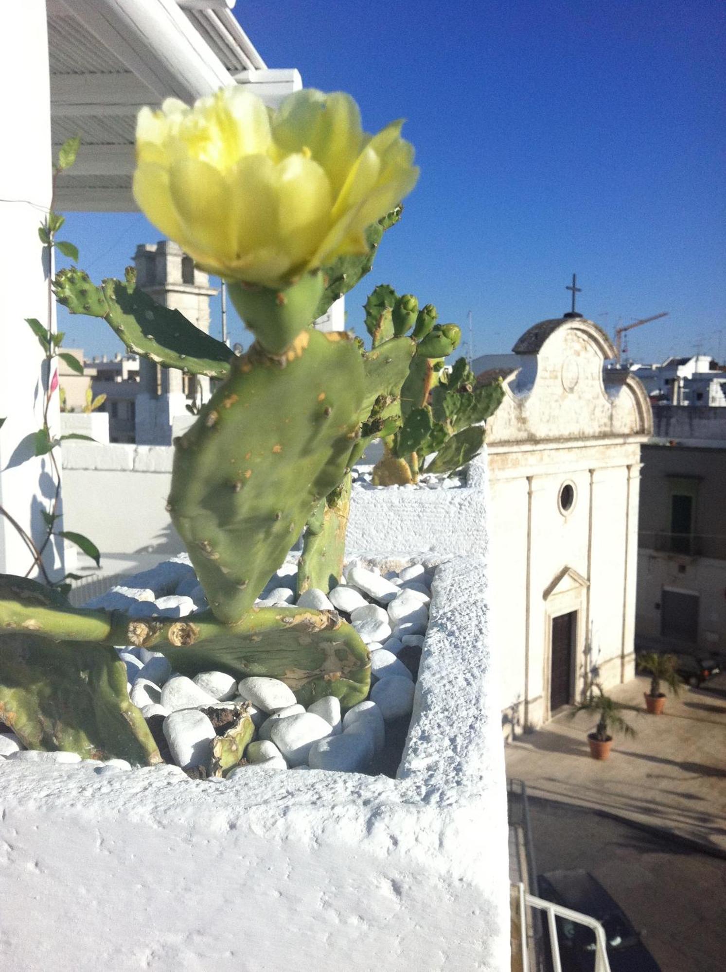 B&B Donnapasqua Polignano a Mare Bagian luar foto